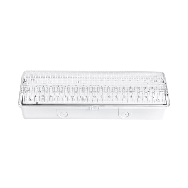 What is a bulkhead emergency light